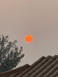 01 12月 25